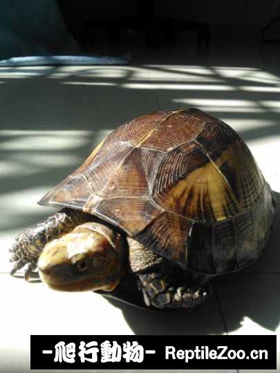 030613kbve9it7xipn20ne.jpg