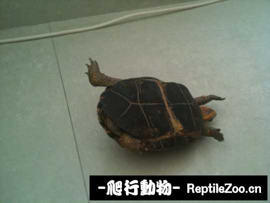 030614ihmqevtqmbrafnqv.jpg