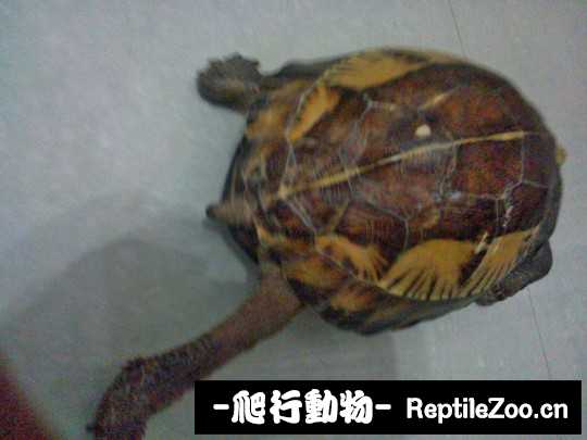 030617fjq8wrrhjqbbx7q4.jpg