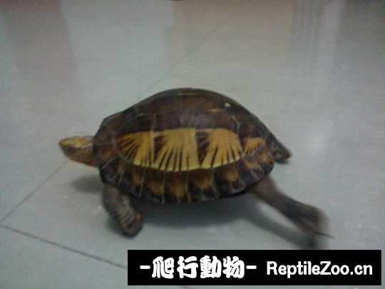 030618xrsnrutu5tlkkuwd.jpg