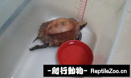 092526ettayjttqyx2yjx9.jpg