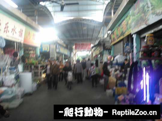 094741ryf9bdnny99wfrwy.jpg