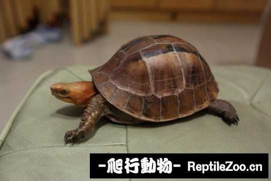 094747wcxur0qfrxs07q08.jpg