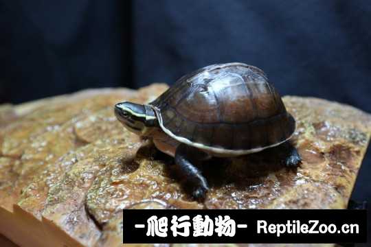 094845wdkb57dzdewzdn92.jpg