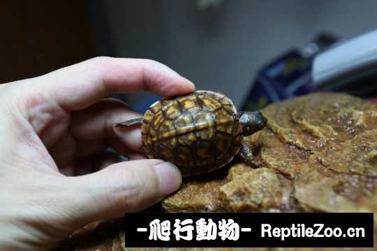 094847in6xu62p3bubph2s.jpg