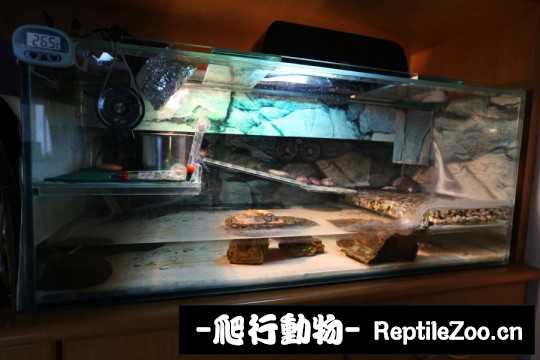 094848p6e269tywcicncfp.jpg