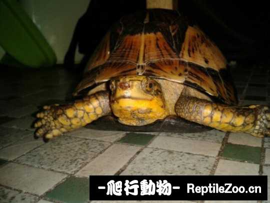 095031v6e79p9n22nsqjwy.jpg