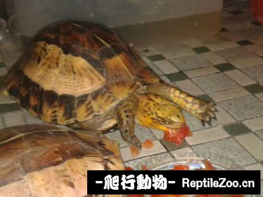 095032ku3c0uu4avm0w1ym.jpg