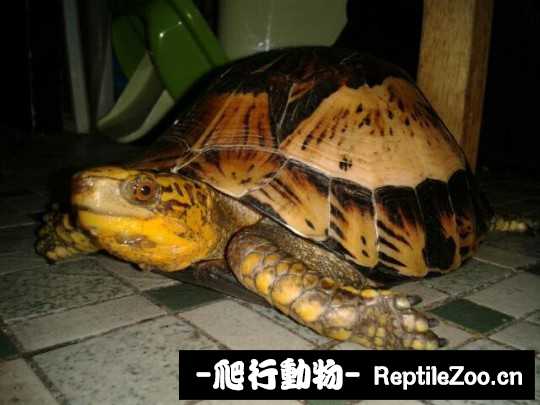 095034o3ihi5nzlvzavn4f.jpg