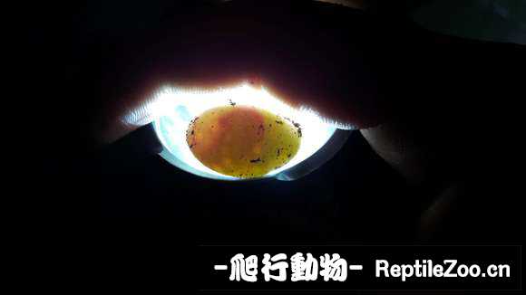 095108u2ra0i7ll03jy70p.jpg