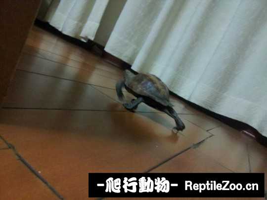 095123w45bbd5zw4hhmdh0.jpg