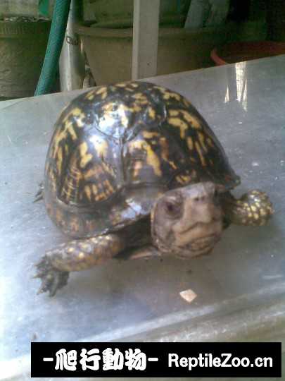 095129c613zbgeahd3hcef.jpg