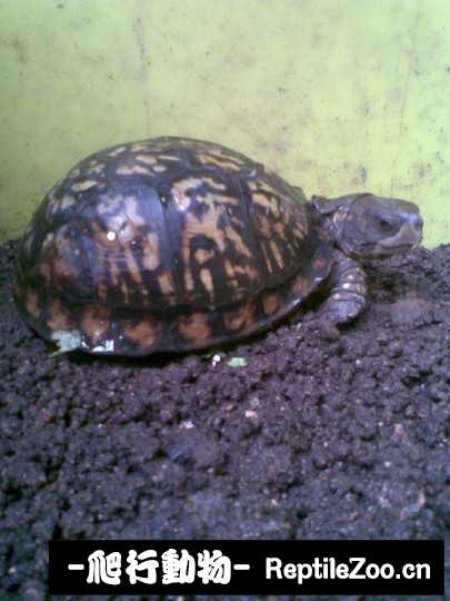 095131j90dzdy04r79qr0z.jpg