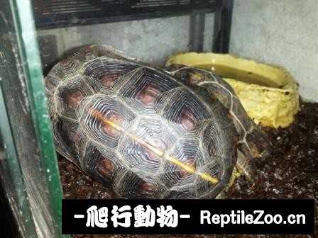 095246lnfmddbbngnycnny.jpg