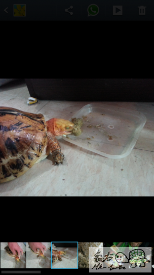 095434cuc8kp079py0zz76.png