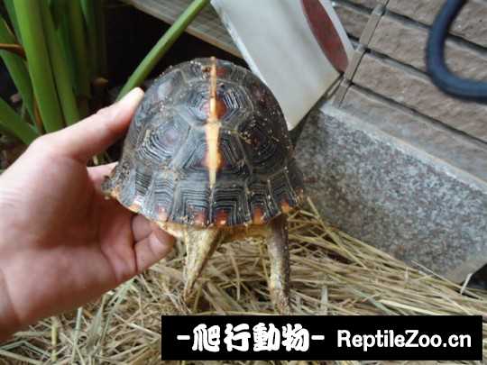 095531vsrkkdljkjfd6oyz.jpg
