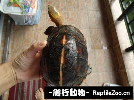 095531y67763fmjre79b7a.jpg