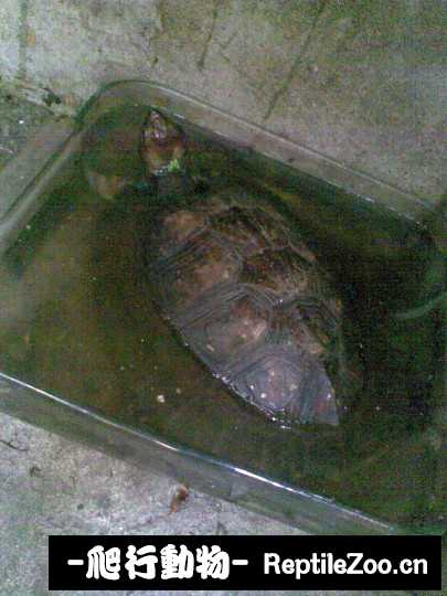 095547j8dzjve0uedrnjzd.jpg