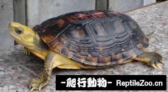 095551hm8yu0pzm0hlzl2q.jpg