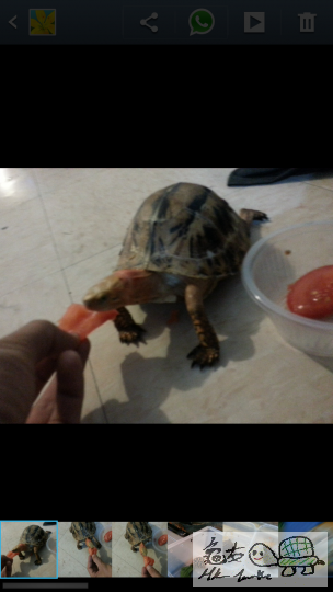 095905irnyhsrhr6s3ozmn.png