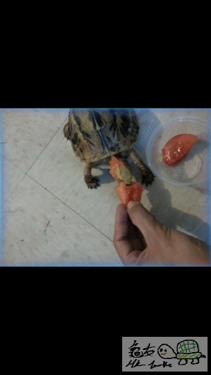 095906xa74rtc4c57att04.png