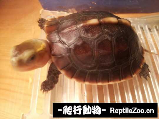095922s3avnbbnauuvfvfb.jpg