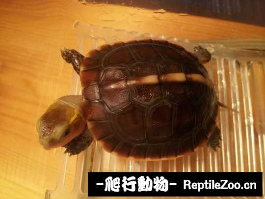 095923xek7khcwhcbbqkwh.jpg