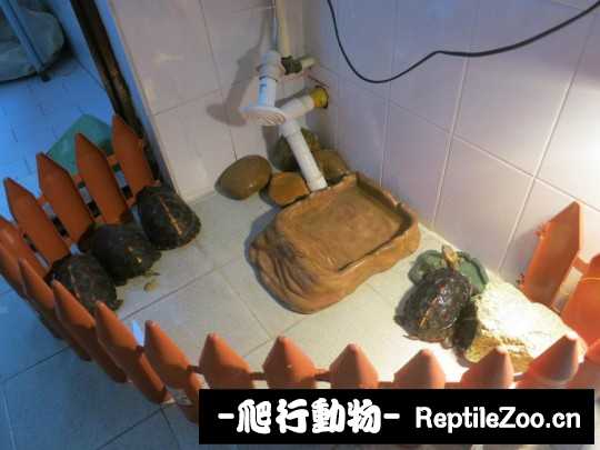 095953nl5f1iol7hgh7d5n.jpg