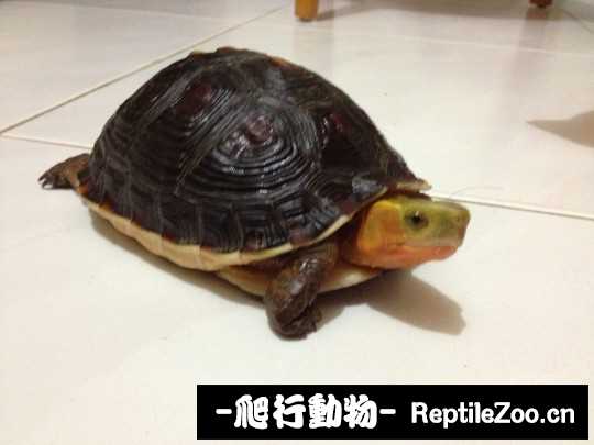100025f9racljbjrqulruw.jpg
