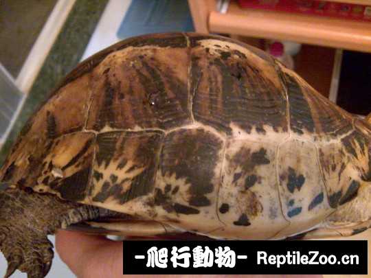 100033v91b8zx85m9oxq87.jpg