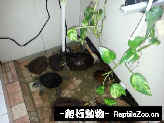 100148coffgqoqkmzccnof.jpg