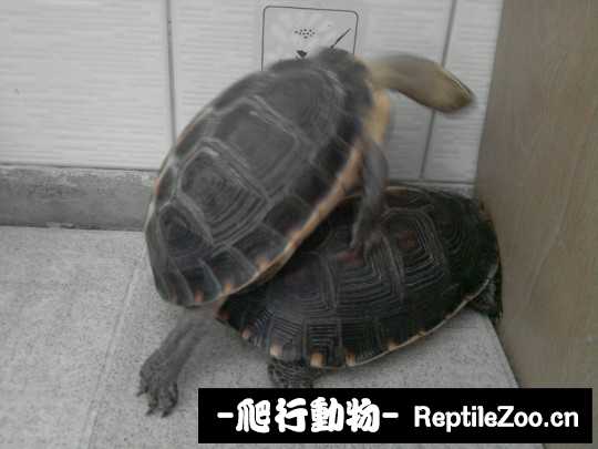 100226jhqikw0uilq43oqz.jpg