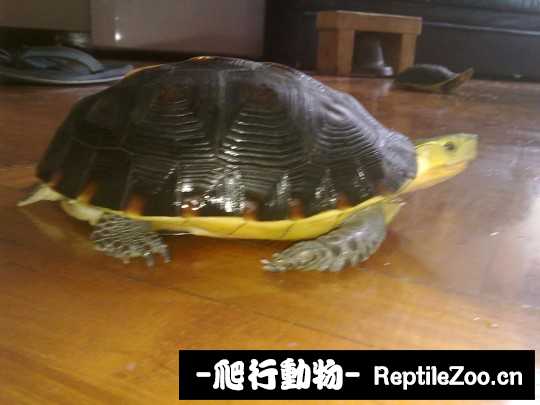 100321yxi2gdk2zxfuu2pb.jpg