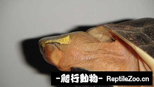 100335t7en199jlc3d775v.jpg