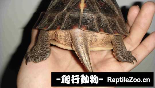 100337qwjw3r1d35odxdvq.jpg