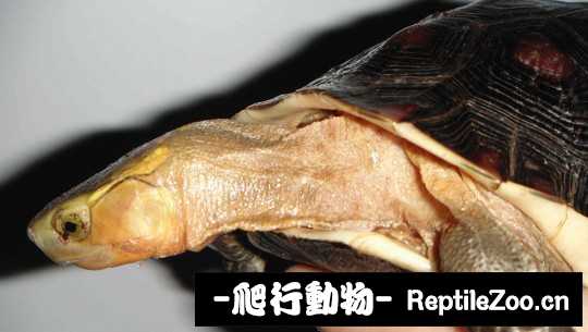 100339uwry8up62264oczt.jpg