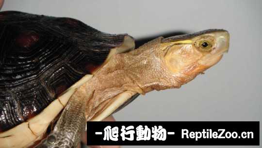 100340gqfgiuhykkgf9via.jpg