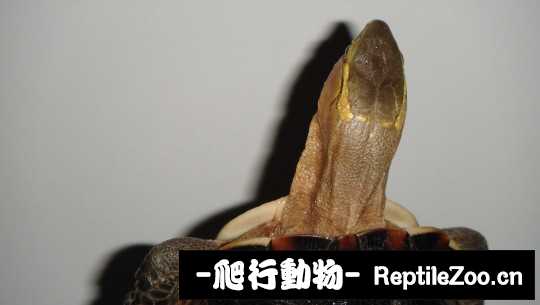 100340kx868cqbjm6axx6o.jpg