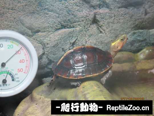 100407amaa90zduba0qoqa.jpg