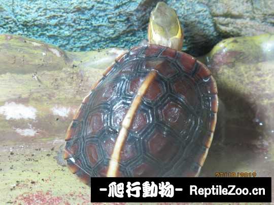 100407hnxe2xw6a1eoxxex.jpg