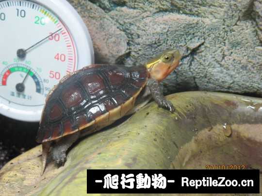 100407zgbm303d3cue33ge.jpg