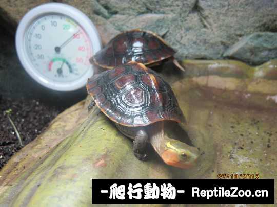 100409ujacbfz9xz7nf673.jpg