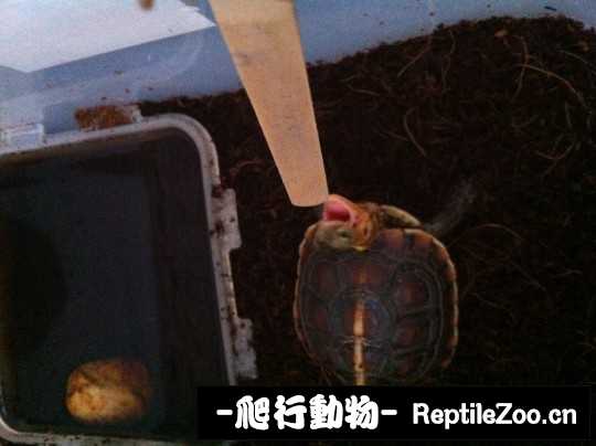 100422bnkk6keiecakcbke.jpg