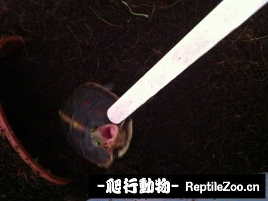 100423e546g998fv7105zk.jpg
