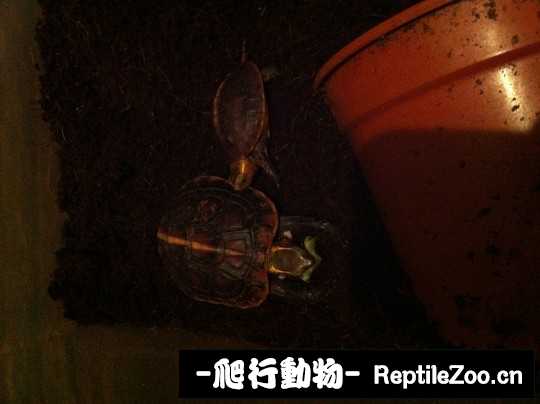 100424al99kklullllh3l1.jpg