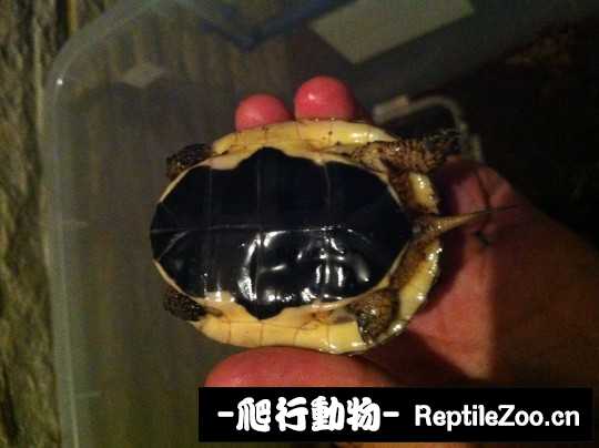 100424m37wslqdwtvwzs16.jpg