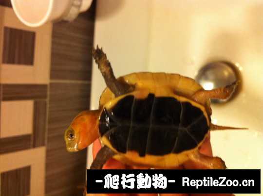 100426qmff1apzexwfmzfu.jpg