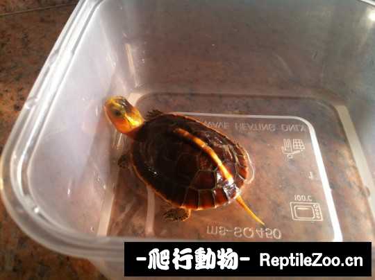 100432jfjm6eg7898fmcf9.jpg