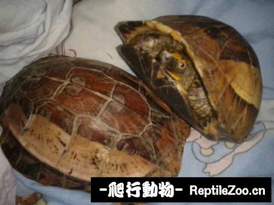 100510g0jj7m0kbohtmmjz.jpg
