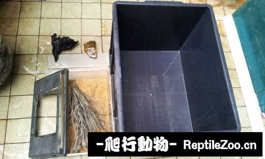 100521xmr6orouolooomu6.jpg